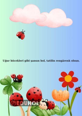 Uğur böceği karne kılıfı arka sayfa