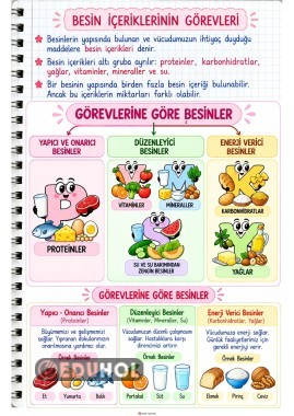Besinlerimiz