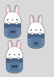 5th am-is-are