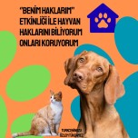 Benim haklarım etkinliği