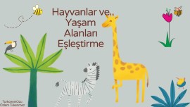 hayvanlar ve yaşam alanları eşleştirme