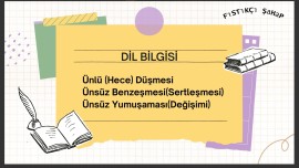 Türkçe Dersi Dil Bilgisi