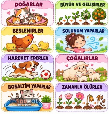 CANLILARIN ORTAK ÖZELLİKLERİ
