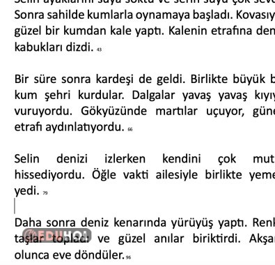 HIZLI OKUMA METNİ 13