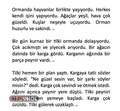 Hızlı Okuma Metni 6