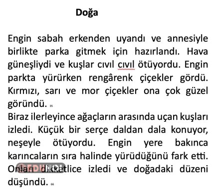 Okuma Hızı Metni 3