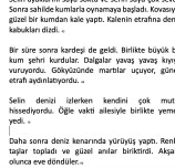 HIZLI OKUMA METNİ 13