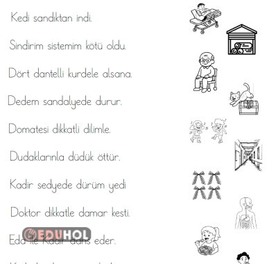 d harfi cümleyi görsellerle eşleştirme, boyamalı