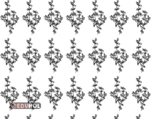 k harfi kekik defter görseli