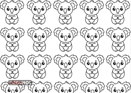 k harfi koala defter görseli