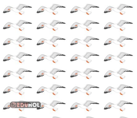 m harfi martı defter görseli