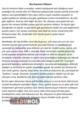 Beş Duyunun Hikayesi