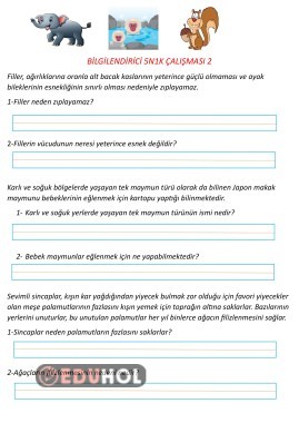 Bilgilendirici 5N1K Metin 2