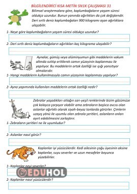 Bilgilendirici Kısa Metin 5N1K Çalışması 31