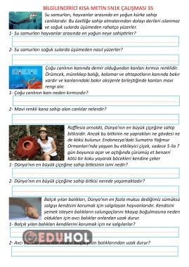 Bilgilendirici Kısa Metin 5N1K Çalışması 35