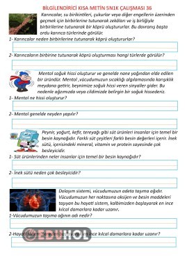 Bilgilendirici Kısa Metin 5N1K Çalışması 36