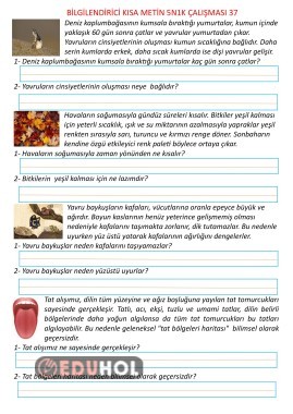 Bilgilendirici Kısa Metin 5N1K Çalışması 37