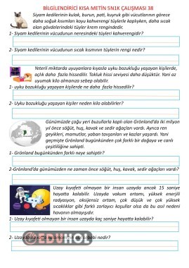 Bilgilendirici Kısa Metin 5N1K Çalışması 38