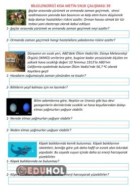 Bilgilendirici Kısa Metin 5N1K Çalışması 39