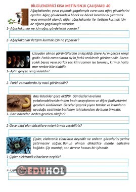 Bilgilendirici Kısa Metin 5N1K Çalışması 40