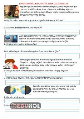 Bilgilendirici Kısa Metin 5N1K Çalışması 41