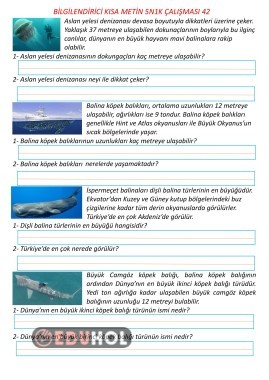 Bilgilendirici Kısa Metin 5N1K Çalışması 42