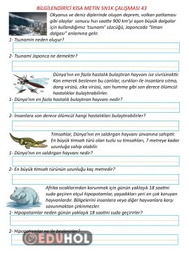 Bilgilendirici Kısa Metin 5N1K Çalışması 43
