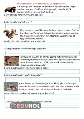 Bilgilendirici Kısa Metin 5N1K Çalışması 44