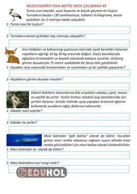Bilgilendirici Kısa Metin 5N1K Çalışması 45
