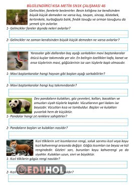 Bilgilendirici Kısa Metin 5N1K Çalışması 46