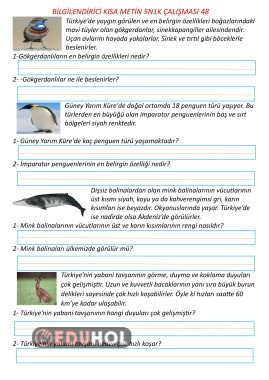 Bilgilendirici Kısa Metin 5N1K Çalışması 49