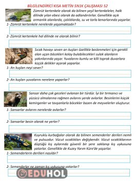Bilgilendirici Kısa Metin 5N1K Çalışması 52