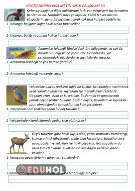 Bilgilendirici Kısa Metin 5N1K Çalışması 53