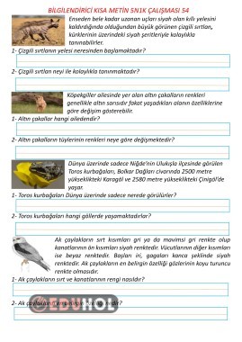 Bilgilendirici Kısa Metin 5N1K Çalışması 54