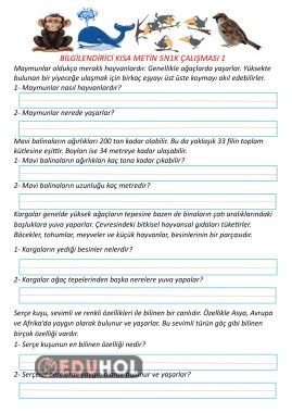 Bilgilendirici Kısa Metin Çalışması 1