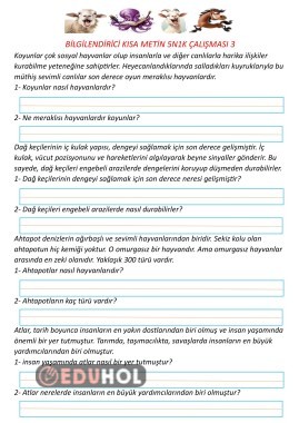 Bilgilendirici Kısa Metin Çalışması 3