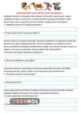 Bilgilendirici Kısa Metin Çalışması 4