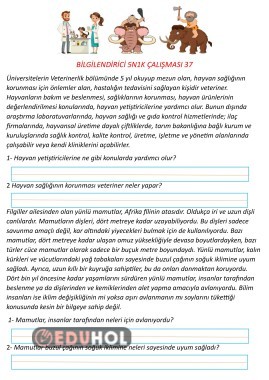 Bilgilendirici Metin 5N1K 37