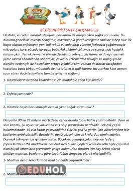 Bilgilendirici Metin 5N1K 39