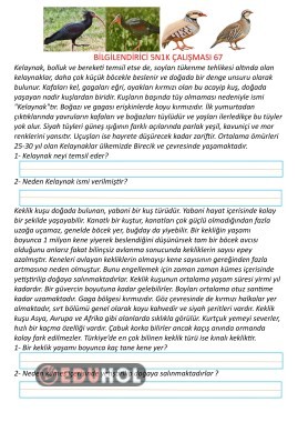 Bilgilendirici Metin 5N1K 67