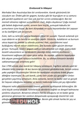 Hikaye Şeklinde Bilgilendirci Okuma Metni 4 Adet 15
