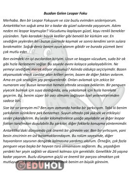 Hikaye Şeklinde Bilgilendirci Okuma Metni 4 Adet 16