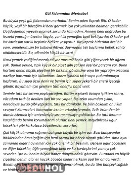 Hikaye Şeklinde Bilgilendirci Okuma Metni 4 Adet 17