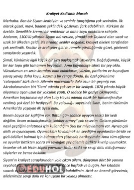 Hikaye Şeklinde Bilgilendirci Okuma Metni 4 Adet 19