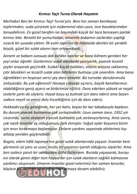 Hikaye Şeklinde Bilgilendirci Okuma Metni 4 Adet 20