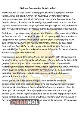 Hikaye Şeklinde Bilgilendirci Okuma Metni 4 Adet 21