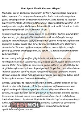 Hikaye Şeklinde Bilgilendirci Okuma Metni 4 Adet 22