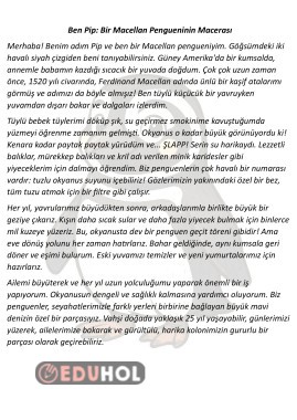 Hikaye Şeklinde Bilgilendirci Okuma Metni 4 Adet 23