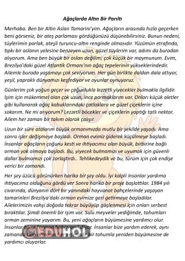 Hikaye Şeklinde Bilgilendirci Okuma Metni 4 Adet 24