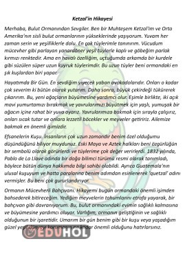 Hikaye Şeklinde Bilgilendirci Okuma Metni 4 Adet 25